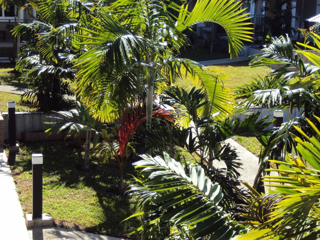 Hotel Colibri Koné Esterno foto